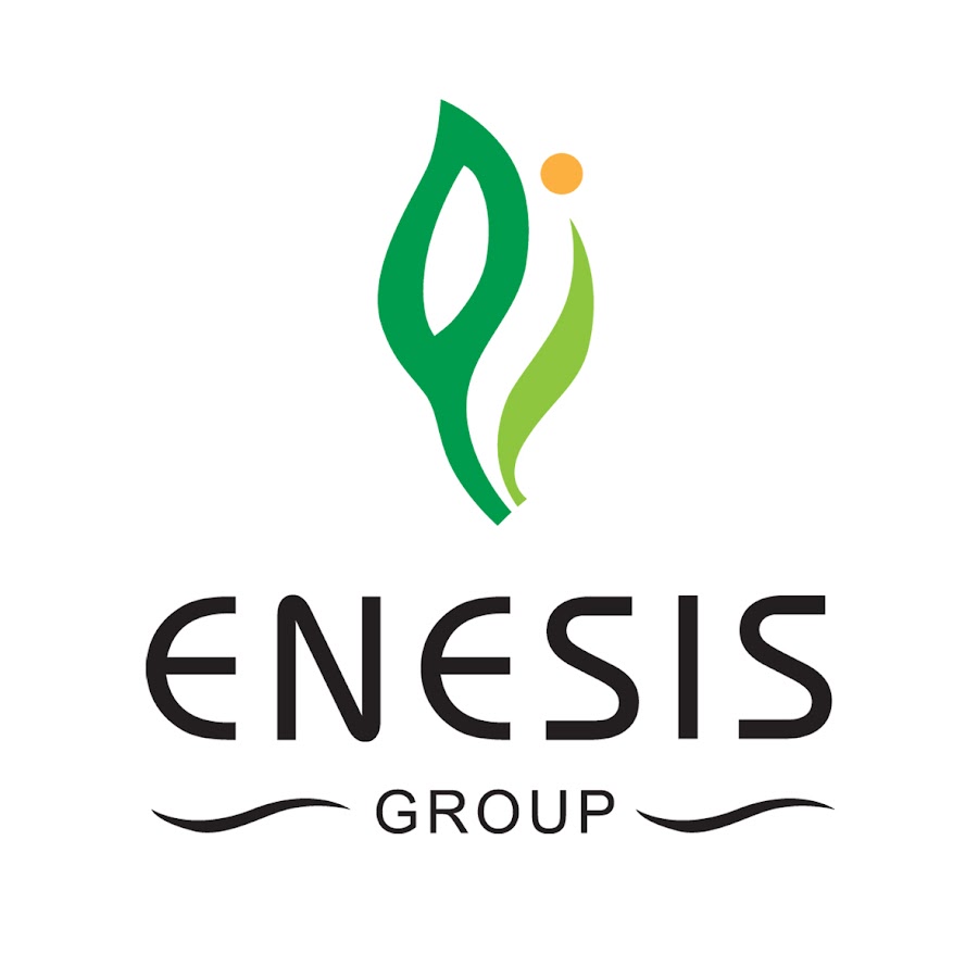 Enesis Group